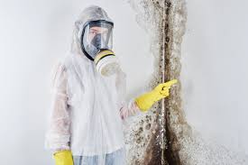 Best Water Damage & Mold Remediation  in Talent, OR